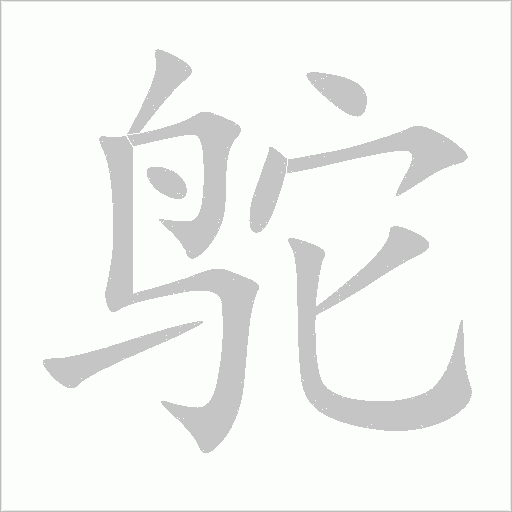 鴕