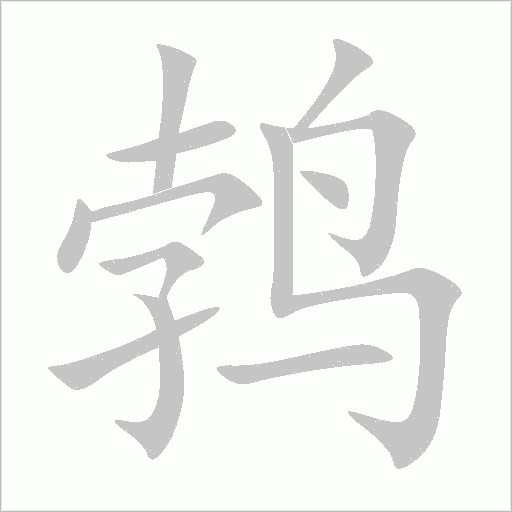 鵓