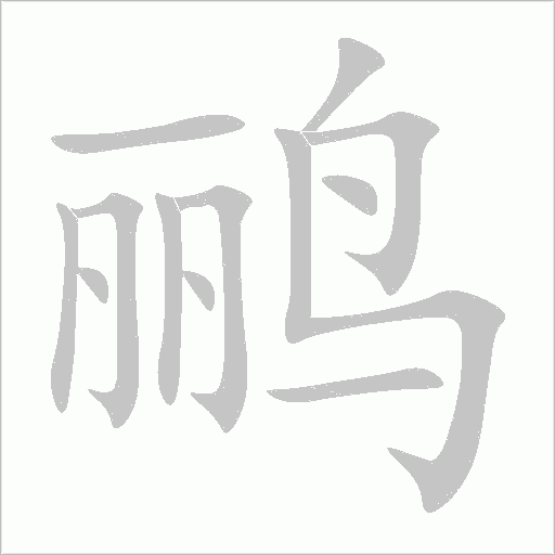 鸝