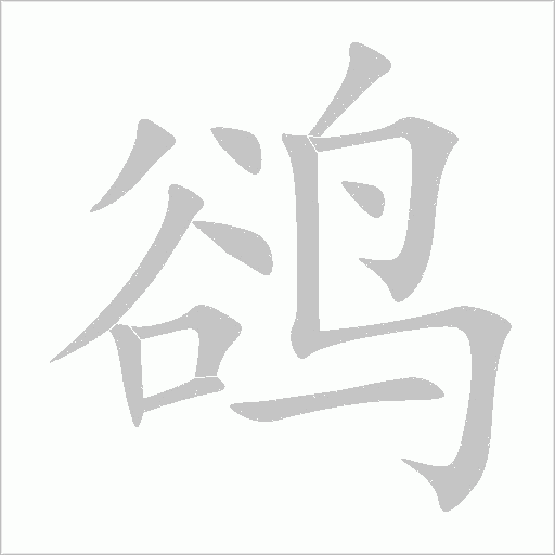 鵒