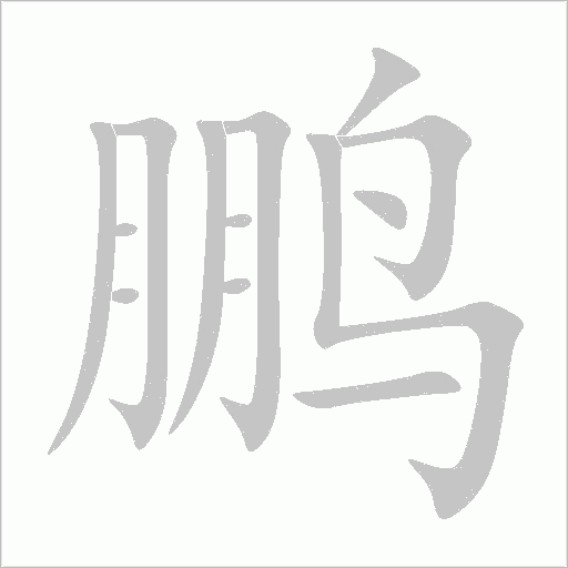 鵬