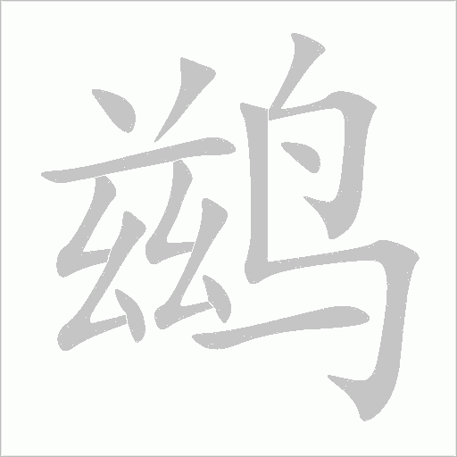 鶿