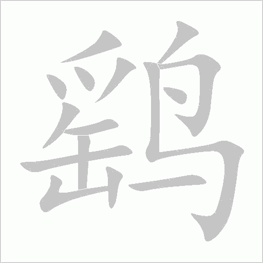 鷂