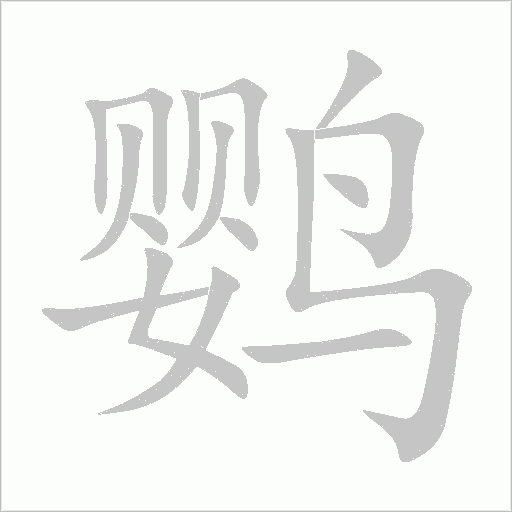 鸚