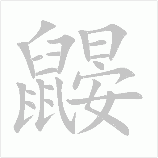 鼴