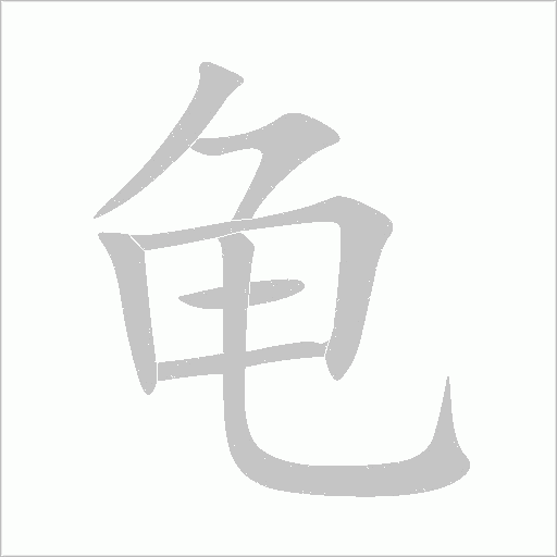 龜